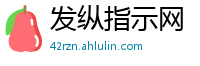 发纵指示网